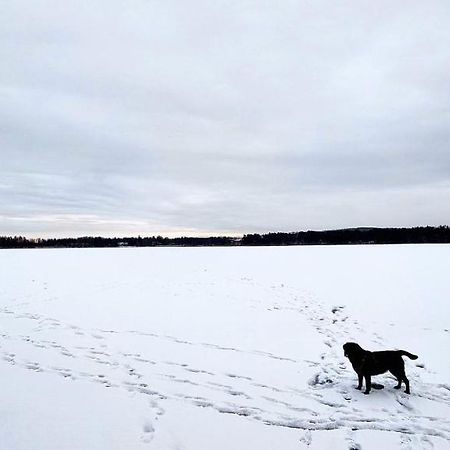 Luxury Villa Rauhankatu Rovaniemi Dış mekan fotoğraf