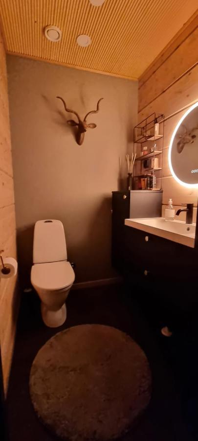 Luxury Villa Rauhankatu Rovaniemi Dış mekan fotoğraf